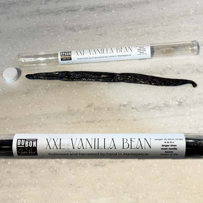 DuBon XXL Vanilla Bean